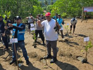 PT Semen Padang Dukung Pelestarian Pesisir dan Ekosistem Laut 1 PT Semen Padang lakukan penanaman mangrove