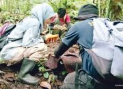 Sepanjang Tahun 2020, 10 Kasus Konflik Satwa Liar dan Manusia