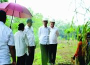 HUT Ke-17 Tahun Kabupaten Dharmasraya, Muda Usianya, Pesat Pembangunannya