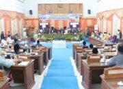Paripurna Istimewa DPRD HUT Kabupaten Pasbar ke-17, Perjuangan Para Tokoh Warnai Kemajuan Pembangunan Pasaman Barat