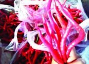 Harga Cabai Merah Keriting Turun, Cabai Rawit Naik Rp 70 Ribu Perkilogram