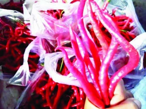 TURUN— Harga cabai merah keriting yang sebelumnya sempat naik daun, kemarin di Pasar Lubuk Basung mulai turun.