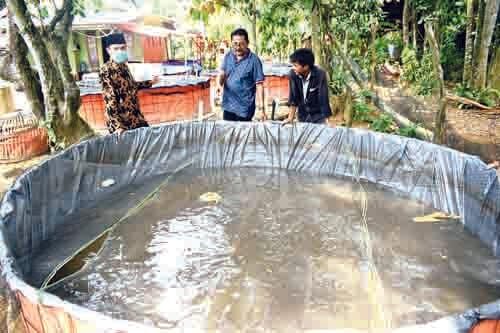 KOLAM LELE— Mantan Sekda Kota Padang, Asnel memantau kolam lele miliknya yang berada di Kuranji, Selasa (5/1).