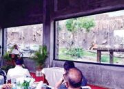 Zone Reptil dan Sumatran Tiger TMSBK Diresmikan