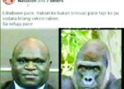 Politikus Tega Sandingkan Foto Natalius Pigai dengan Gorila