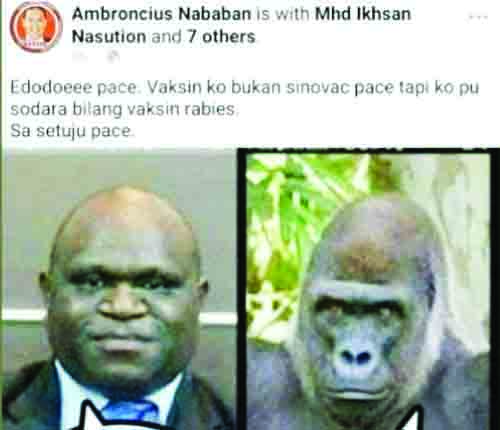 Politikus Tega Sandingkan Foto Natalius Pigai dengan Gorila 1 Postingan rasis gorilla Ambroncius Nababan ke Natalius Pigai.