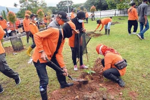 TANAM BIBIT-Petugas DLH Kota Padang melakukan penanaman bibit tanaman buah di taman Kantor Balai Kota Padang, Aiapacah, Rabu (13/1).