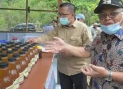 Kadishut Sumbar Tinjau Budidaya Lebah Galo-galo