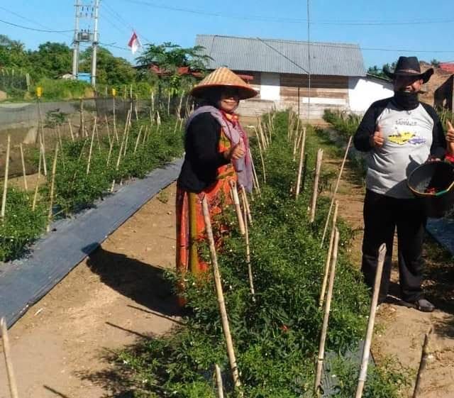 FB IMG 1611558363970