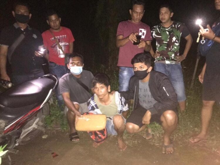 BAWA GANJA— Tim Satresnarkoba Polres Pasbar menangkap seorang pengendara sepeda motor yang membawa 1 Kg ganja siap edar.