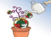 Hingga 2020, Hanya 79 Koperasi Aktif