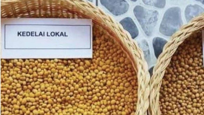 sinartani 5d9d8a30014f7