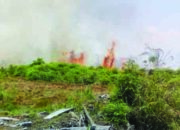 Lahan Gambut Kembali Terbakar