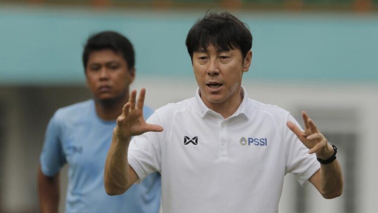 Shin Tae yong, Pelatih Timnas Indonesia