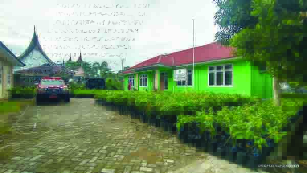 BAGIKAN— BKSDA Agam membagikan gratis 9.000 bibit buah-buahan tanaman keras kepada masyarakat untuk meningkatkan ekonomi masyarakat.