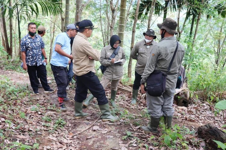 Antisipasi Degradasi Lahan di Pasaman 1 MONITORING—Tim monitoring kegiatan RHL dihadiri Tenaga Ahli Menteri LHK, Komunikasi dan Media Sosial turun lapangan.