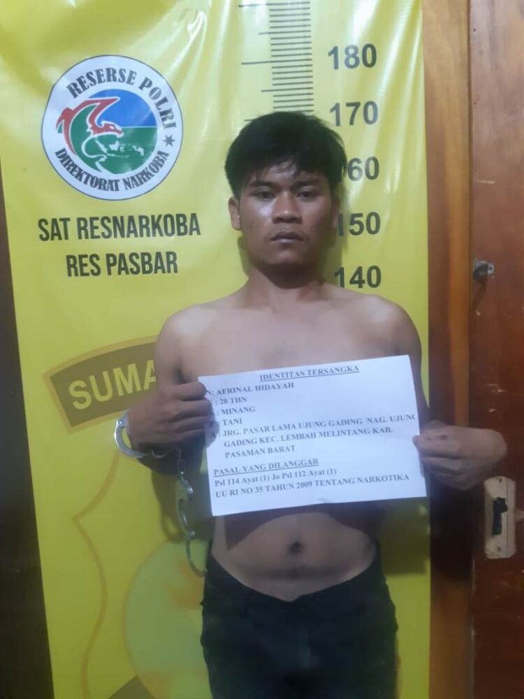 Transaksi dengan Polisi, Pengedar Diciduk 1 PENGEDAR SABU— Polsek Lembah Melintang, Kabupaten Pasaman Barat (Pasbar) menangkap seorang pengedar narkoba jenis sabu pada Jumat (26/3) dini hari.