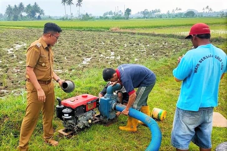 Berikan Energi Positif, Erwin Yunaz Sapa Petani Bawang 1 BERSAMA PETANI—Wawako Erwin Yunaz turun tangan membantu petani.