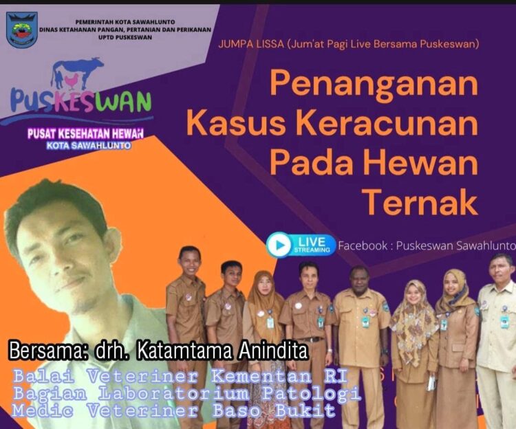 Inovasi "Jumpa Lisa" Penanganan Kasus Keracunan Hewan Dibahas 1 PELAYANAN-- Jumpa Lisa merupakan salah satu program dirancang UPTD Puskeswan Sawahlunto untuk memberikan pelayanan informasi tentang kesehatan hewan.
