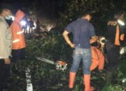 Hujan Deras dan Angin Kencang, Pohon Halangi Jalan Picu Kemacetan