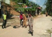 Sebanyak 77 Anjing Liar Dieliminasi