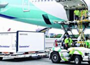 6 Juta Bulk Vaksin Sinovac Tiba, Menkes: Bulan Ini Vaksinasi Diprioritaskan untuk Lansia