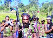 Tumpas KKB Teroris, BNPT dan Densus Bakal Dilibatkan