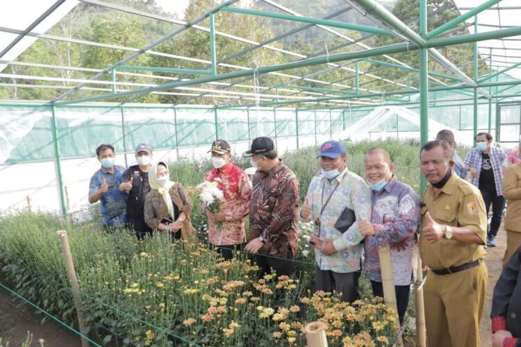 Pemko Jalin Kerja Sama dengan Pekanbaru, Tingkatkan Kapasitas Penyelenggaraan Pemerintah Daerah 1 KUNJUNGI—Wali Kota Pekan Baru Firdaus saat berkunjung ke Kota Solok didampingi Wako Zul Elfian melihat potensi agrowisata.