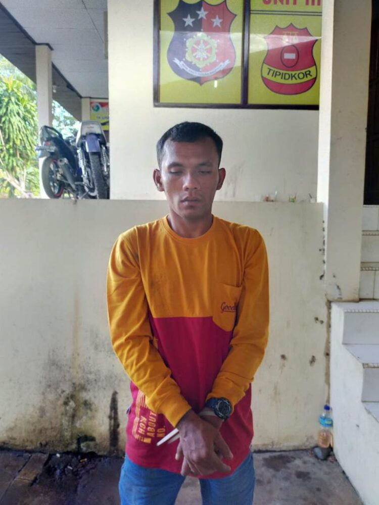 Diamankan— Tersangka CP bersama barang bukti diamankan di Mapolres Tanahdatar.