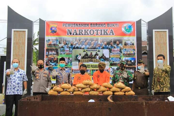 MUSNAHKAN—Polres Pasaman bersama Pemerintah Daerah Pasaman saat hendak memusnahkan BB narkotika hasil tangkapan dari dua orang tersangka.