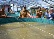 Wabup Agam Apresiasi Perkembangan Koperasi Pulau Harapan