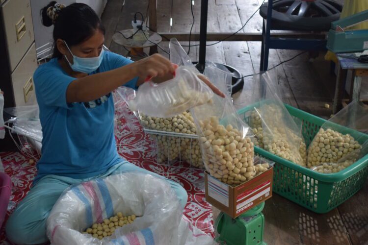 Bea Cukai— makin gencar memberi asistensi kepada pelaku UMKM di berbagai daerah, terutama untuk menggali potensi ekspor.