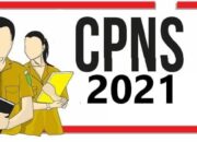 Pekan ke Tiga Mei Hingga Akhir Juni, Jadwal Pendaftaran CPNS dan PPPK 2021