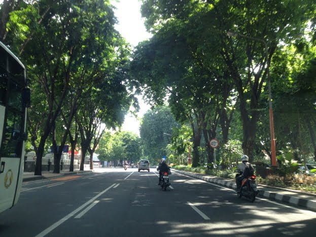 Ilustrasi-1.300 Pohon Pelindung Rawan