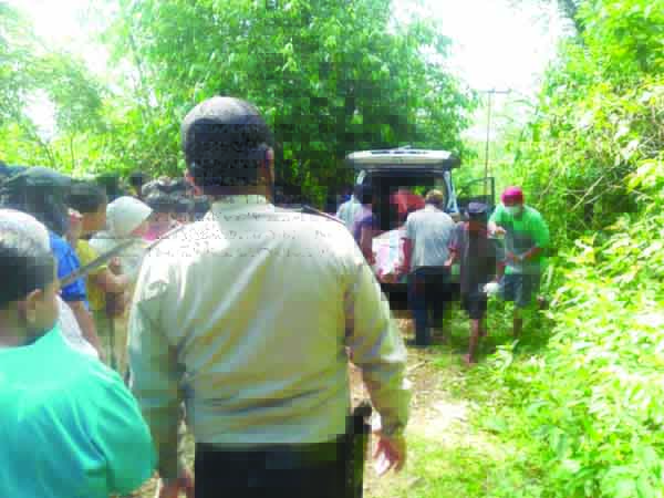 TERSENGAT LISTRIK--Hendak mengait buah pinang, warga Padang Laweh, Sijunjungditemukan tewas tersengat listrik, Minggu (2/5) pagi.
