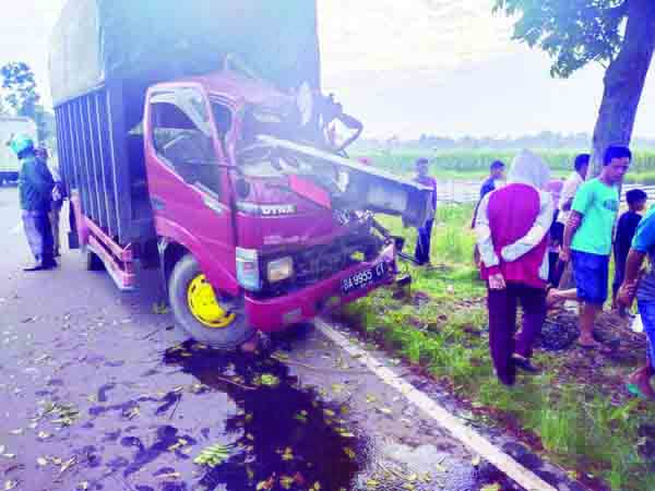 Hindari Hewan Melintas, Truk Tabrak Pohon Mahoni "Kernet Terjepit, Kaki Kiri Patah" 1 TABRAK POHON— Warga berusaha memberikan pertolongan kepada kernet truk yang terjepit usai menabrak pohon mahoni.