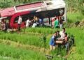 Bus Pastra Terjun ke Sawah, 2 Tewas 10 Bus Pastra Terjun ke Sawah, 2 Tewas