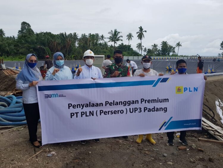 Usaha Tambak Udang Jadi Pelanggan Premium PLN 1 Lokasi tambak udang di daerah Pariaman kembali bergabung dengan layanan prioritas PLN.