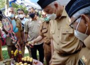 Gubernur Sumbar Bantu Peternak Madu Galo-Galo, Khasiatnya Ampuh untuk Berbagai Penyakit