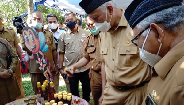 MADU GALO-GALO— Gubernur Sumbar Mahyeldi memegang madu galo-galo hasil budi daya Kelompok Hutan Kemasyarakatan Lurah Basuang di Desa Batu Tanjung, Kecamatan Talawi.