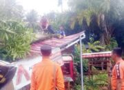 Pohon Tumbang Melukai Pengendara Motor di Kabupaten Agam, Kepala Korban Dihiasi 20 Jahitan