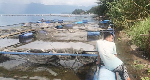 KERAMBA APUNG—Salah seorang warga duduk di atas keramba miliknya yang berasumsi pengurangan keramba tanpa regulasi yang jelas sama saja membunuh petani KJA.