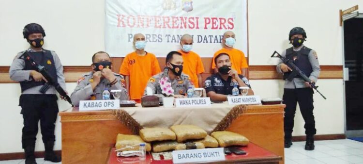 TANGKAP PENGEDAR— Wakapolres Tanahdatar Kompol Eridal melakukan konferensi pers terkait penangkapan dua pengedar ganja dan satu pengedar sabu.