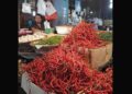 Harga Cabai Rawit Turun, Cabai Merah malah Naik 10 Petani Keluhkan Mahalnya Harga Pupuk dan Pestisida, Harga Cabai Merah Anjlok, Petani Payakumbuh Merana