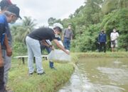 Wako Sawahlunto dan PKK Serahkan Bantuan Bibit Ikan