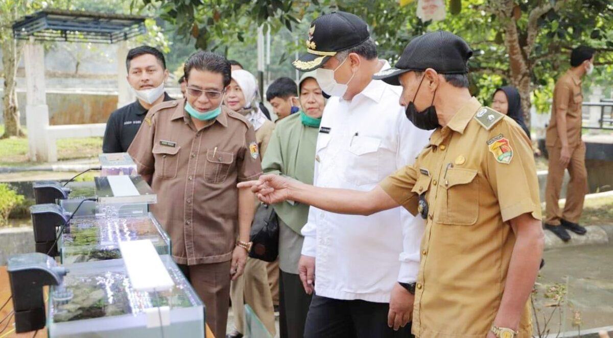 Budidaya ikan hias diharapkan menjadi sumber ek11nomi baru bagi masyarakat.