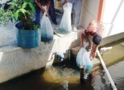 15.000 Bibit Ikan Ditebar di Banda Larangan Lubuk Ba­sung