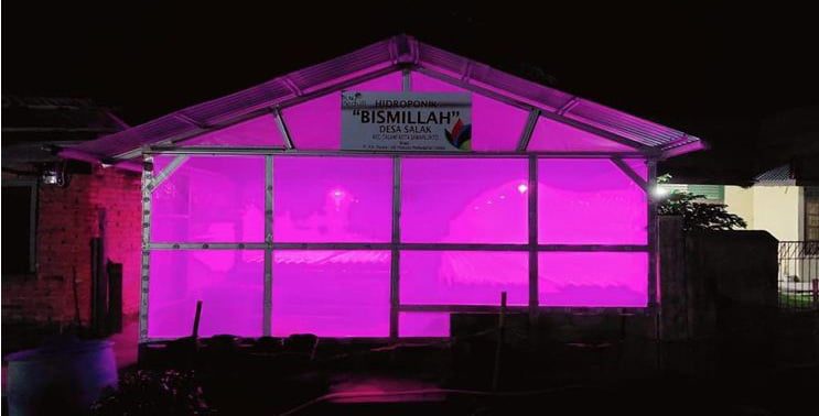 BANTUAN—House hidroponik denganpenggunaan lampu UV pada malam hari yang merupakan bantua dari PT. PLN Persero Unit Pelaksana Pembangkitan (UPK) Ombilin untuk pengembangan usaha tanaman holtikultura.