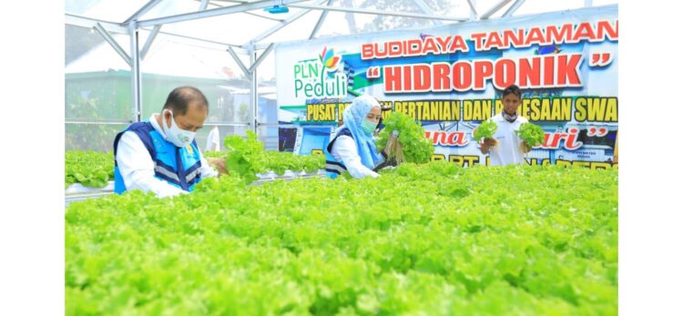 Pemanfaatan energi listrik untuk meningkatkan pertumbuhan tanaman atau mempermudah pengolahan infrastruktur pendukung pertanian.