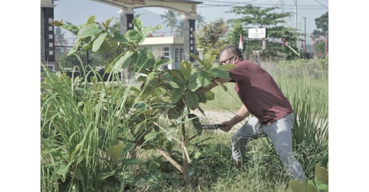 CANANGKAN—Wali Kota Riza Falepi melakukan pencanangan pupuk organik NPK Taniku di lahan tanaman jagung Kawasan Padang Kaduduak, Kelurahan Tigo Koto Diate, Kecamatan Payakumbuh Utara.